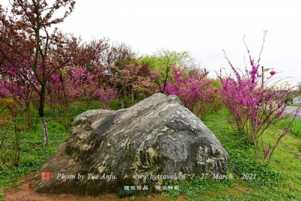 ӻξ