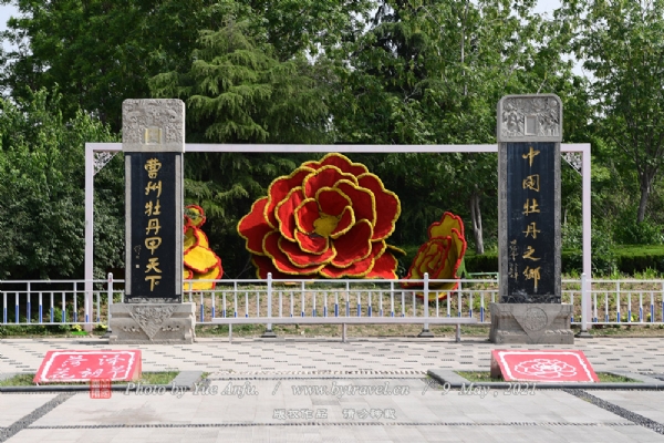 曹州牡丹园