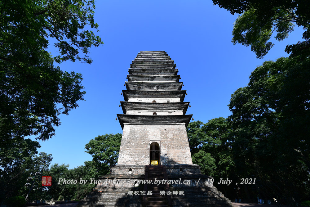 鱦