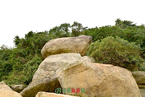 淇澳岛