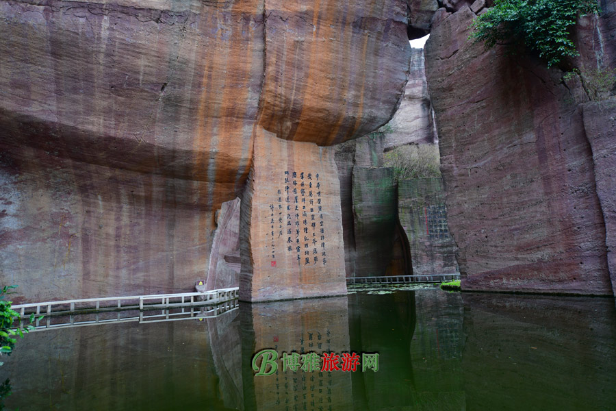 ɽŲʯ