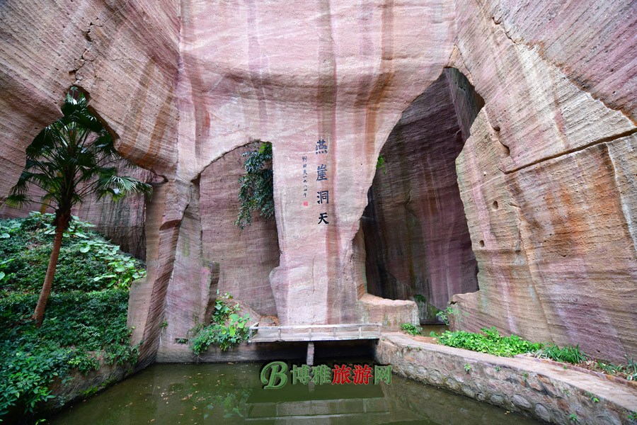 ɽŲʯ
