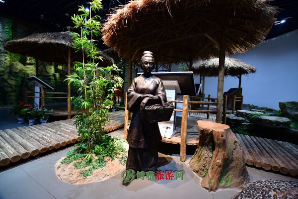 鲩