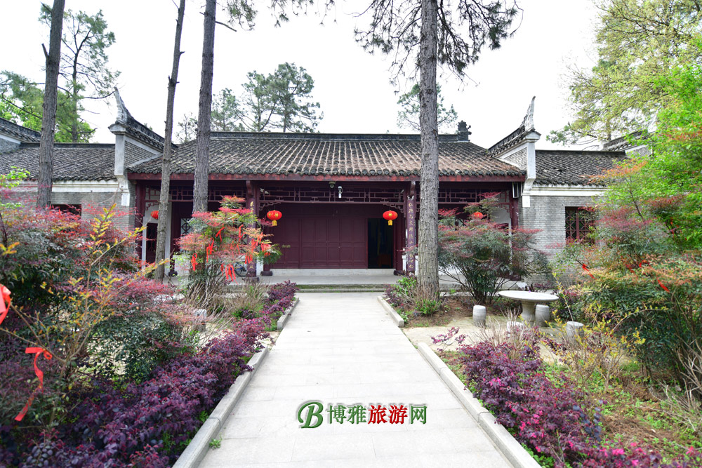 Ƽ羰