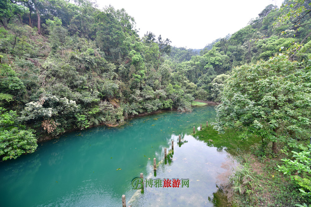 Ǻ羰ʤ
