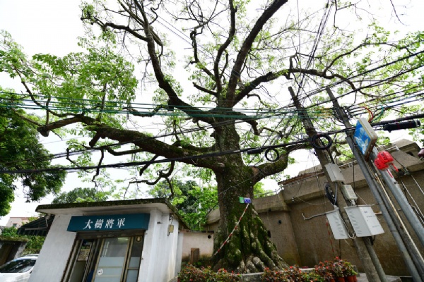 唐家湾古镇