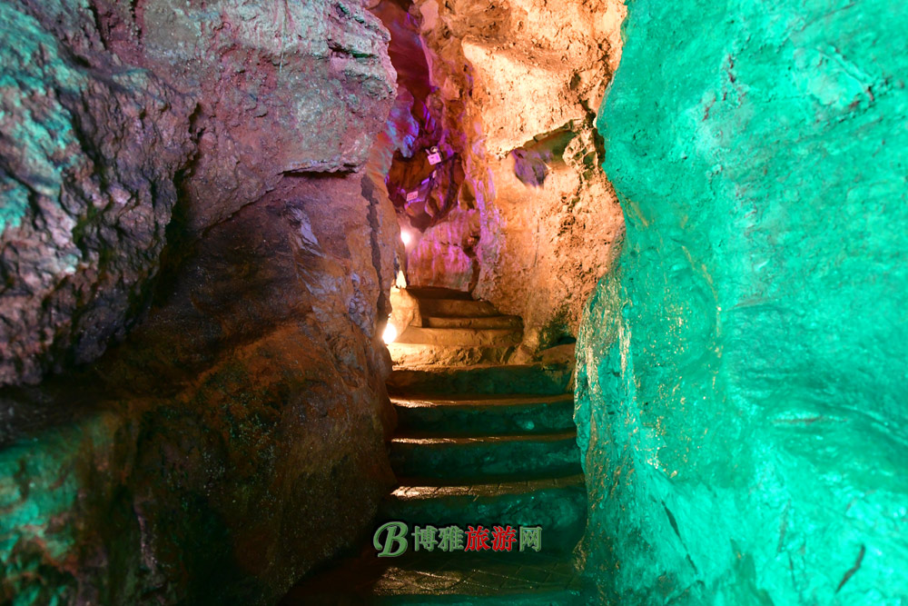 ʨ