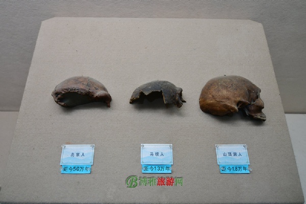 马坝人博物馆