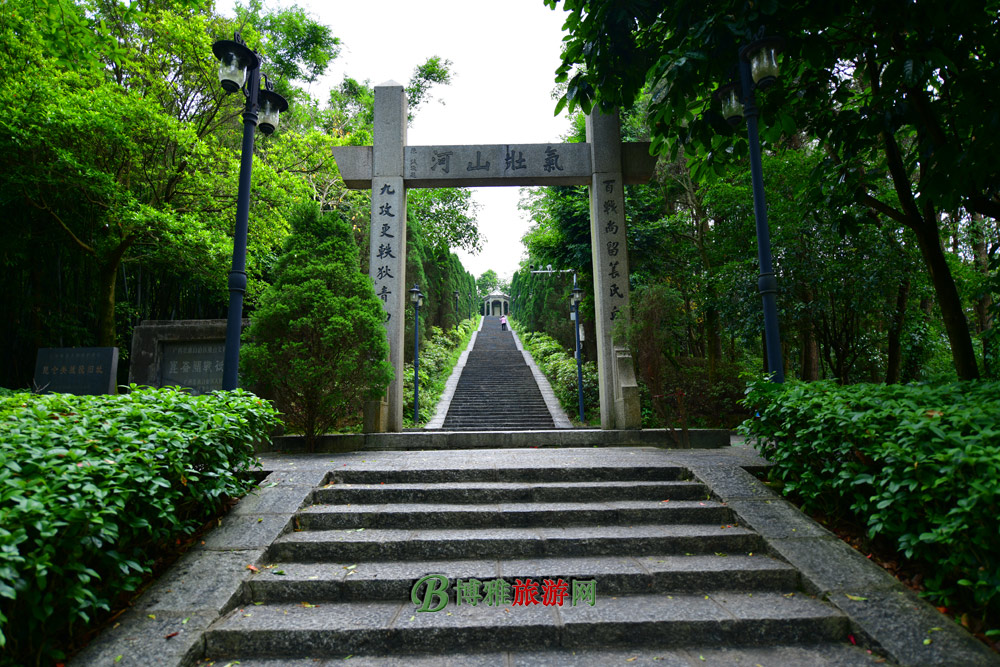 عη羰