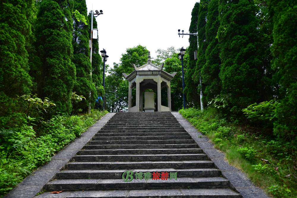 عη羰