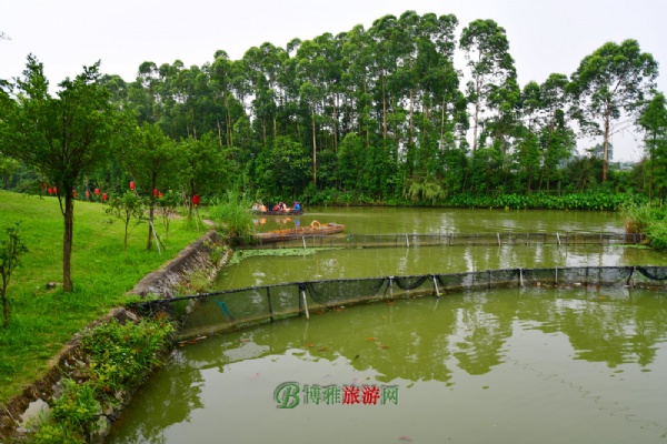 古劳水乡