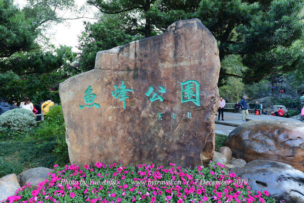 羰