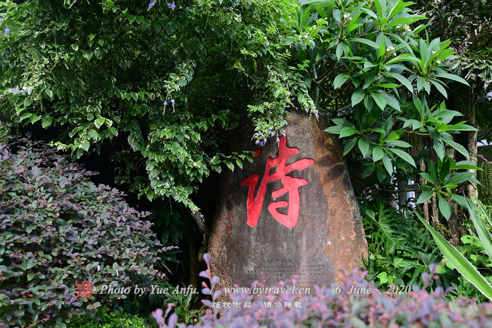ʫȽ1986꣬ں±