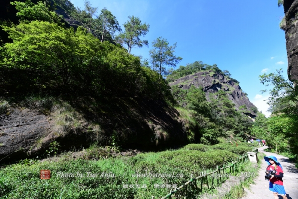 大红袍景区