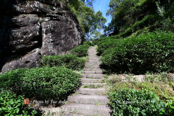 大红袍景区