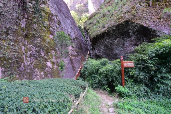 η徰
