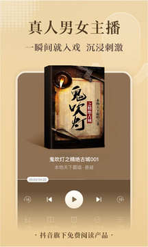番茄免费小说（2）