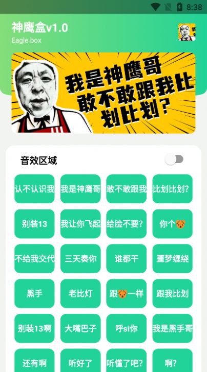 神鹰盒5.0（0）