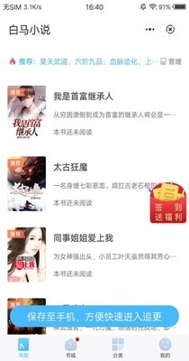 白马小说（0）