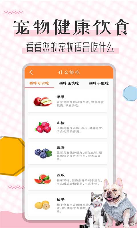 猫语翻译宝（0）
