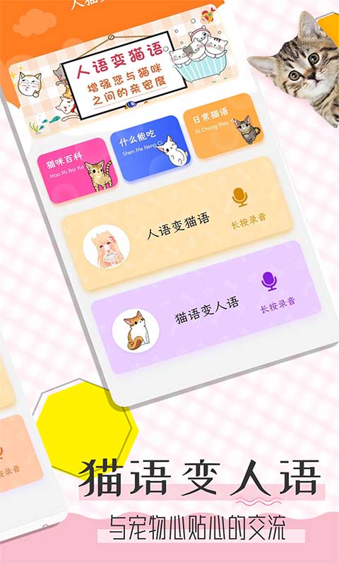 猫语翻译宝（1）