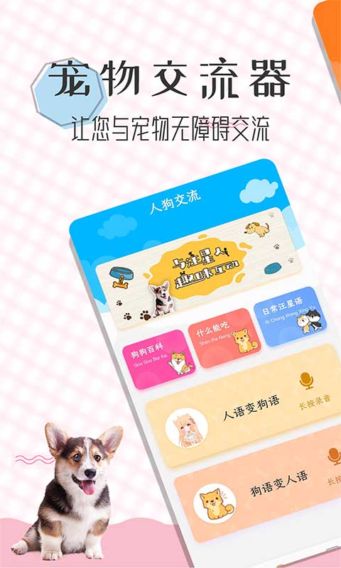 猫语翻译宝（3）