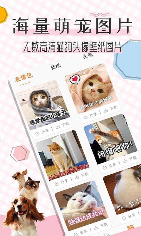 猫语翻译宝（2）