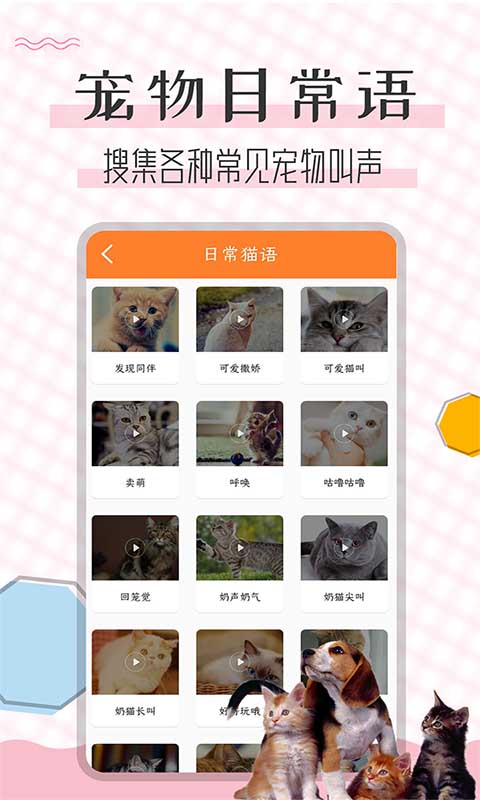 猫语翻译宝（4）