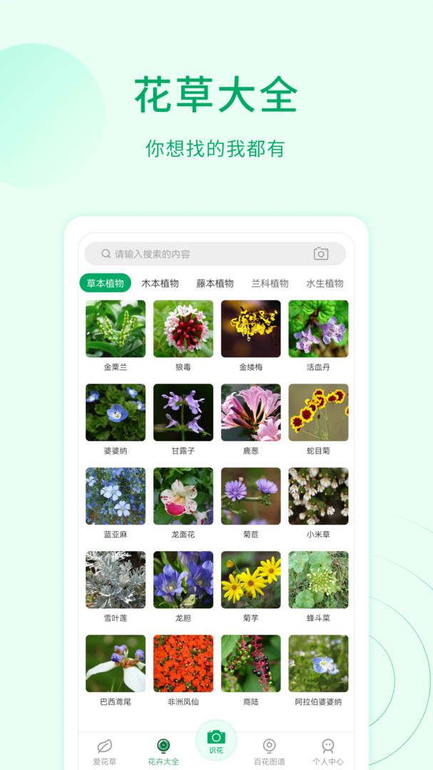 花草识别（3）