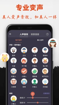 专业变声器（3）