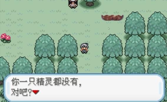 口袋妖怪圣光白内置作弊版（2）