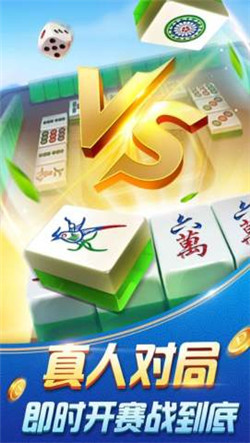 联桌靖安麻将安卓版（0）